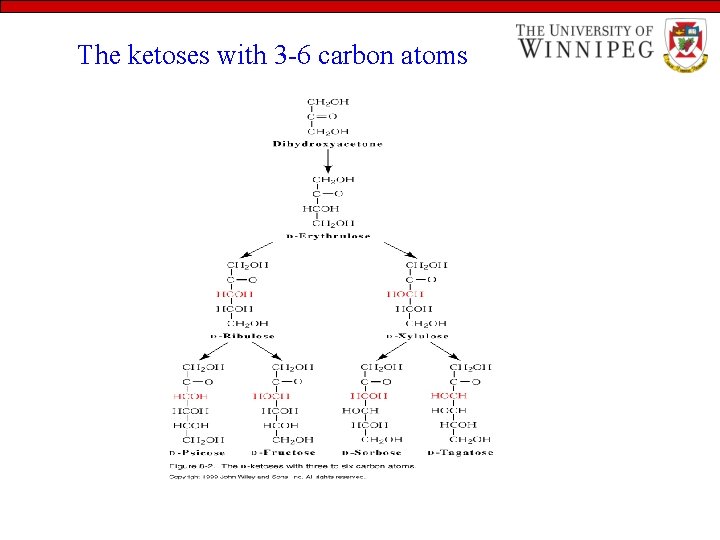 The ketoses with 3 -6 carbon atoms 