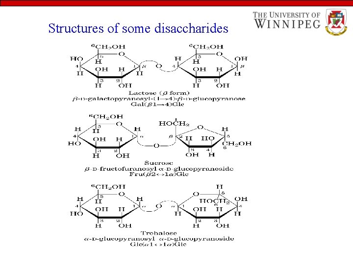 Structures of some disaccharides 