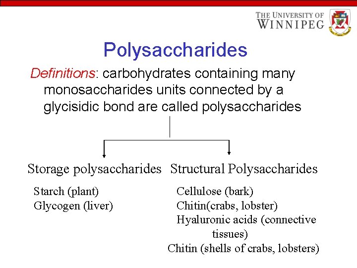 Polysaccharides Definitions: carbohydrates containing many monosaccharides units connected by a glycisidic bond are called