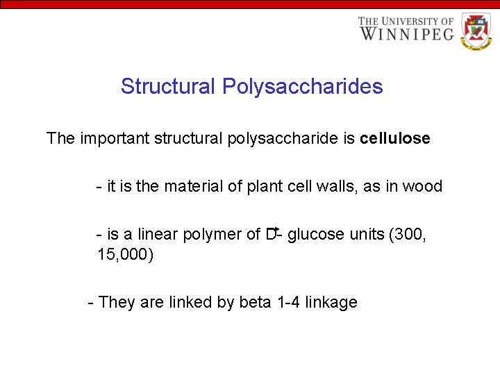 Structural Polysaccharides The important structural polysaccharide is cellulose - it is the material of