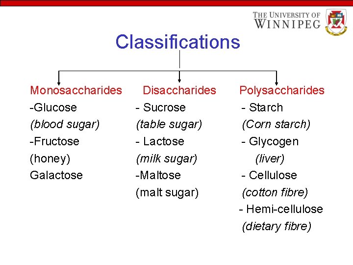 Classifications Monosaccharides -Glucose (blood sugar) -Fructose (honey) Galactose Disaccharides - Sucrose (table sugar) -
