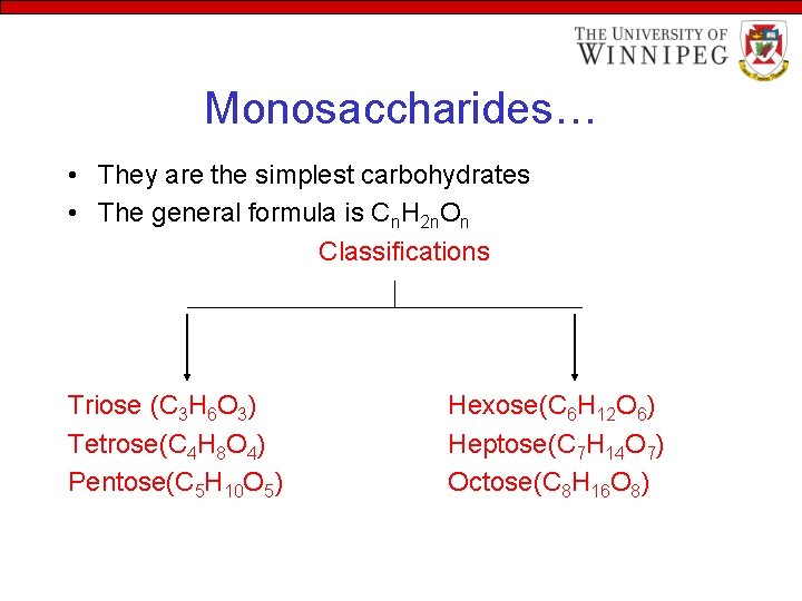 Monosaccharides… • They are the simplest carbohydrates • The general formula is Cn. H