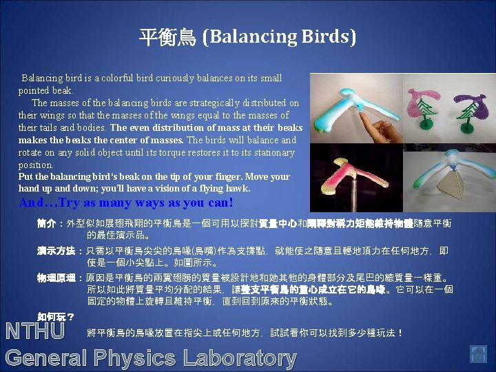平衡鳥 (Balancing Birds) Balancing bird is a colorful bird curiously balances on its small