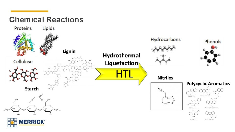 Chemical Reactions 