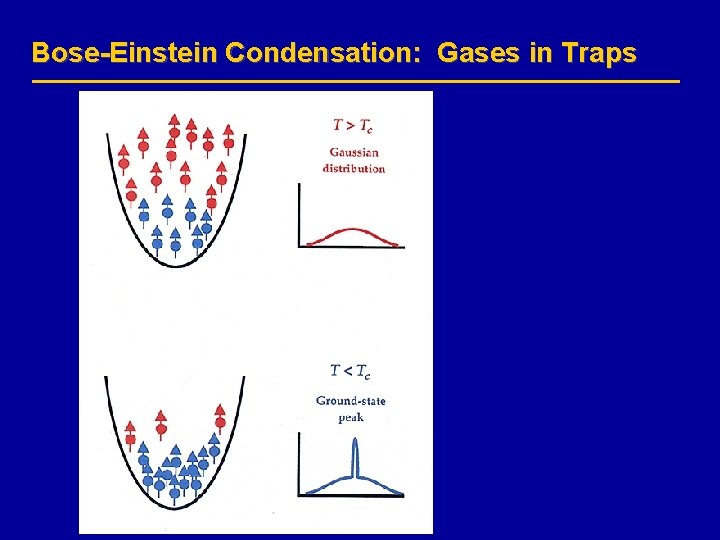 Bose-Einstein Condensation: Gases in Traps 