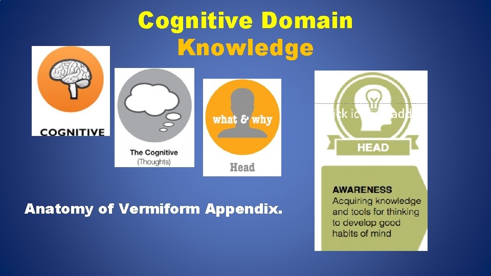 Cognitive Domain Knowledge Anatomy of Vermiform Appendix. 