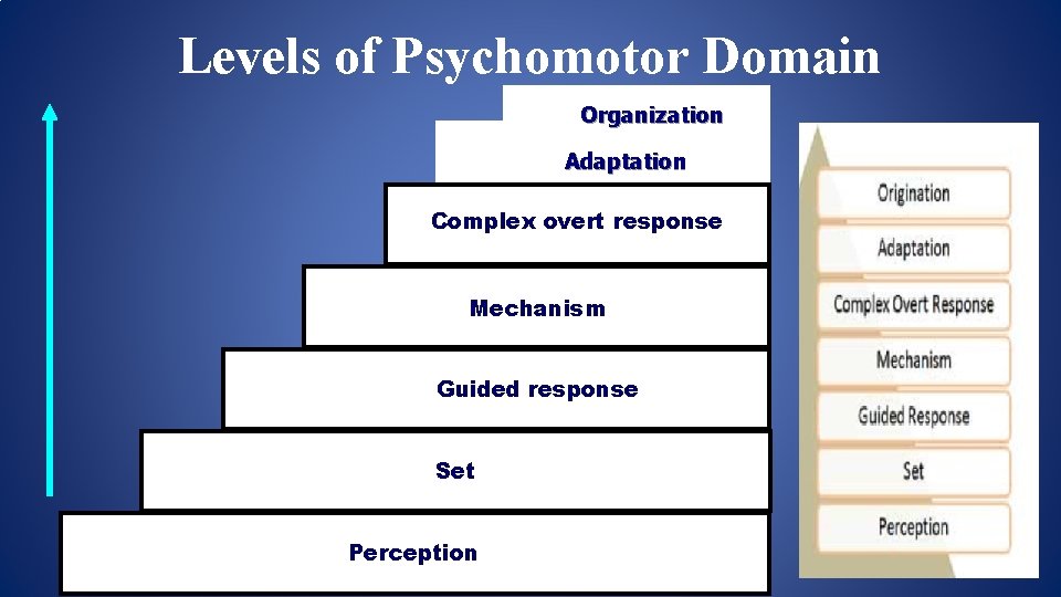 Levels of Psychomotor Domain Organization Adaptation Complex overt response Mechanism Guided response Set Perception