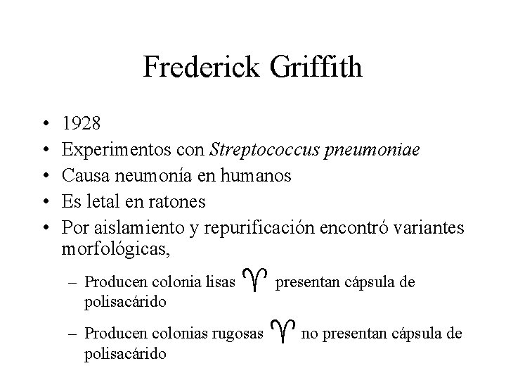 Frederick Griffith • • • 1928 Experimentos con Streptococcus pneumoniae Causa neumonía en humanos