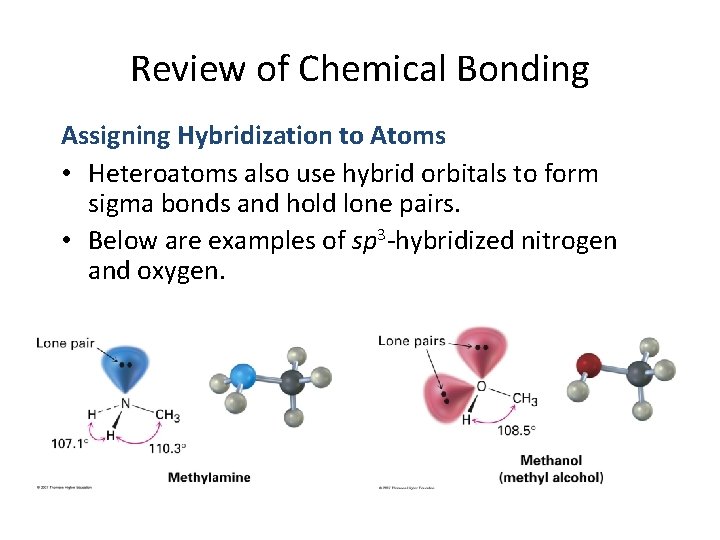 Review of Chemical Bonding Assigning Hybridization to Atoms • Heteroatoms also use hybrid orbitals