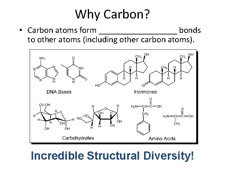 Why Carbon? • Carbon atoms form _________ bonds to other atoms (including other carbon