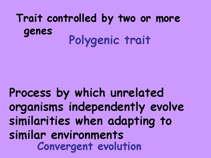 Trait controlled by two or more genes Polygenic trait Process by which unrelated organisms