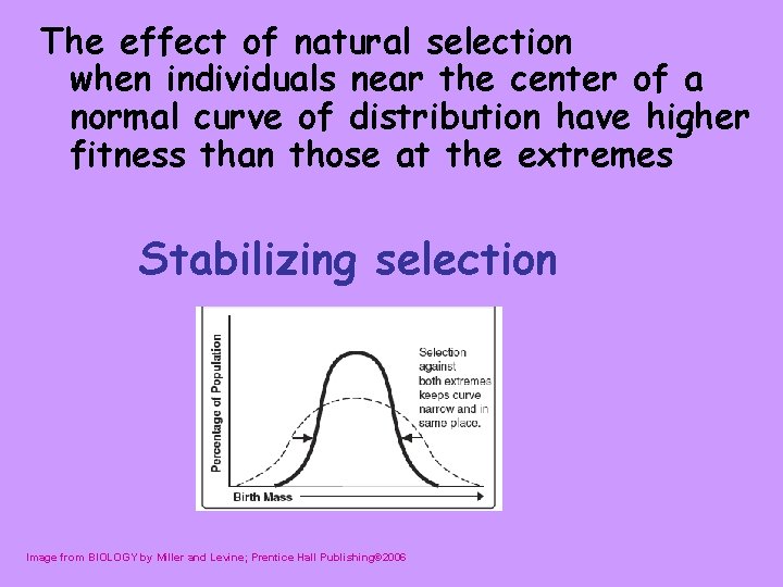 The effect of natural selection when individuals near the center of a normal curve