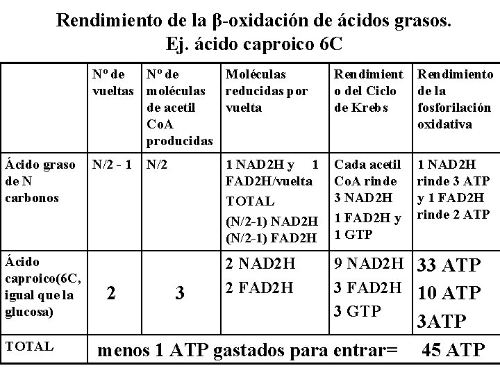 Rendimiento de la β-oxidación de ácidos grasos. Ej. ácido caproico 6 C Ácido graso