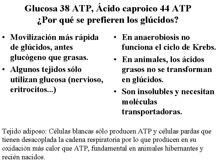 Glucosa 38 ATP, Ácido caproico 44 ATP ¿Por qué se prefieren los glúcidos? •