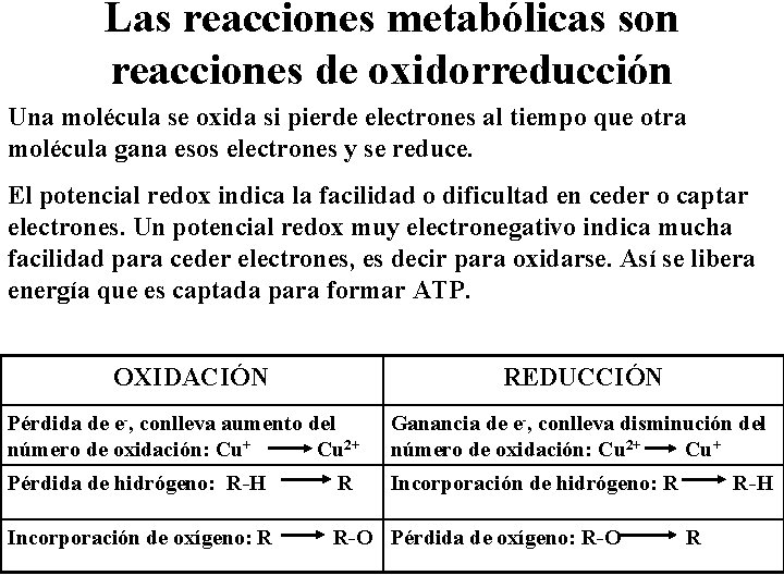 Las reacciones metabólicas son reacciones de oxidorreducción Una molécula se oxida si pierde electrones