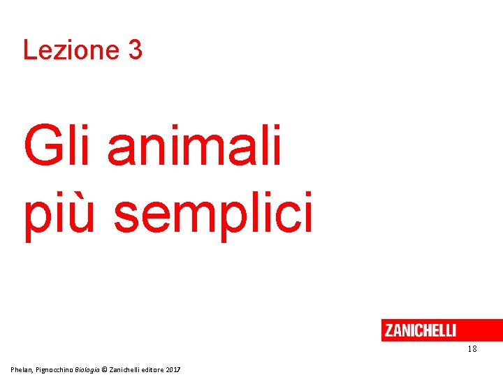 Lezione 3 Gli animali più semplici 18 Phelan, Pignocchino Biologia © Zanichelli editore 2017