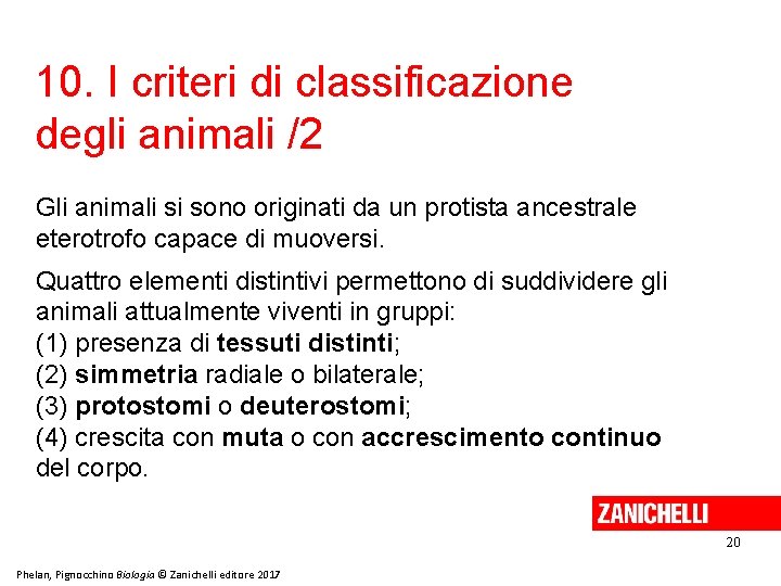 10. I criteri di classificazione degli animali /2 Gli animali si sono originati da