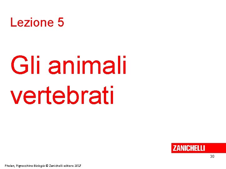 Lezione 5 Gli animali vertebrati 30 Phelan, Pignocchino Biologia © Zanichelli editore 2017 