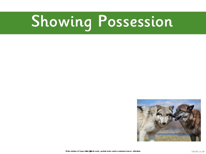 Showing Possession Photo courtesy of Serge Melki (@flickr. com) - granted under creative commons