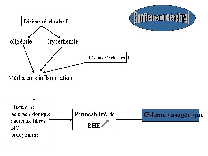 Lésions cérébrales I oligémie hyperhémie Lésions cérébrales II Médiateurs inflammation Histamine ac. arachidonique radicaux