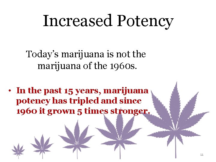 Increased Potency Today’s marijuana is not the marijuana of the 1960 s. • In
