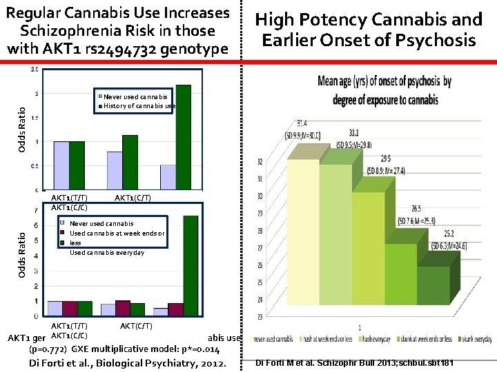 Regular Cannabis Use Increases Schizophrenia Risk in those with AKT 1 rs 2494732 genotype