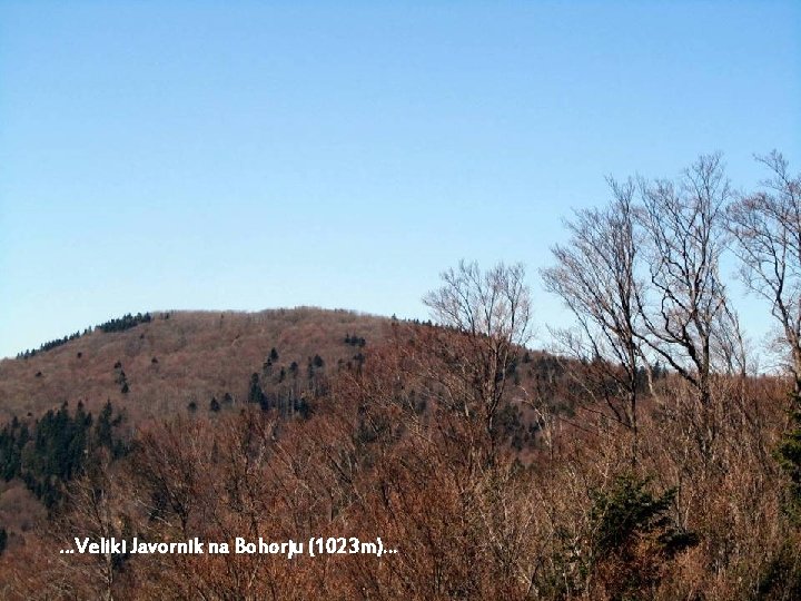 …Veliki Javornik na Bohorju (1023 m)… 