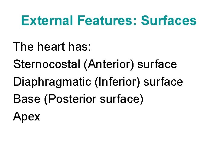 External Features: Surfaces The heart has: Sternocostal (Anterior) surface Diaphragmatic (Inferior) surface Base (Posterior