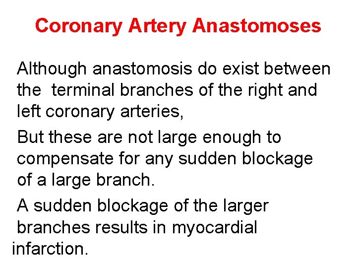 Coronary Artery Anastomoses Although anastomosis do exist between the terminal branches of the right Coronary Artery Anastomoses Although anastomosis do exist between the terminal branches of the right