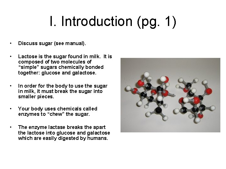 I. Introduction (pg. 1) • Discuss sugar (see manual). • Lactose is the sugar