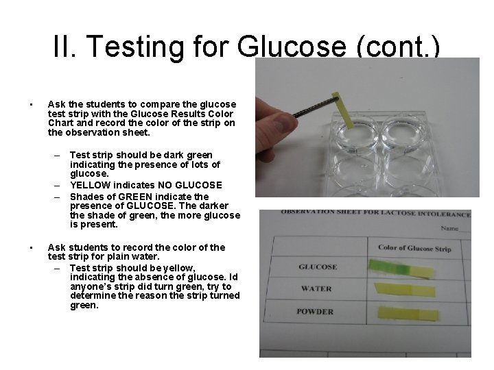 II. Testing for Glucose (cont. ) • Ask the students to compare the glucose
