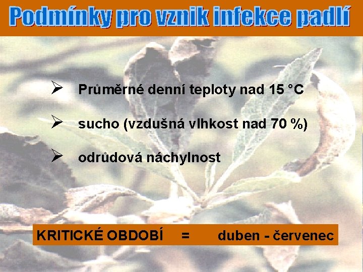 Ø Průměrné denní teploty nad 15 °C Ø sucho (vzdušná vlhkost nad 70 %)