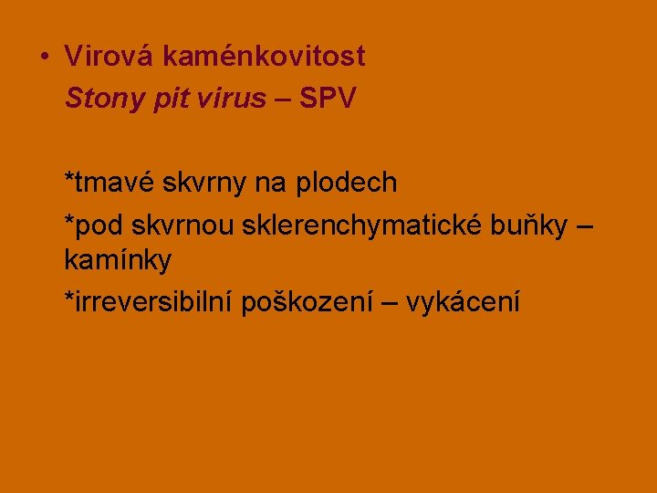  • Virová kaménkovitost Stony pit virus – SPV *tmavé skvrny na plodech *pod