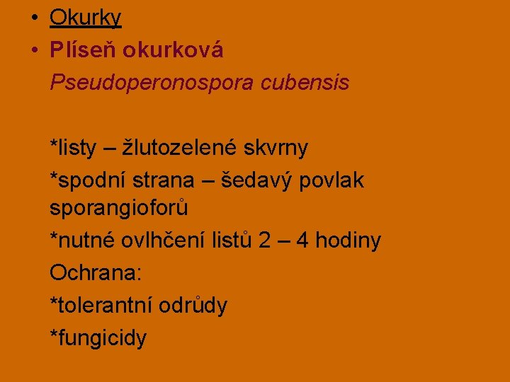  • Okurky • Plíseň okurková Pseudoperonospora cubensis *listy – žlutozelené skvrny *spodní strana