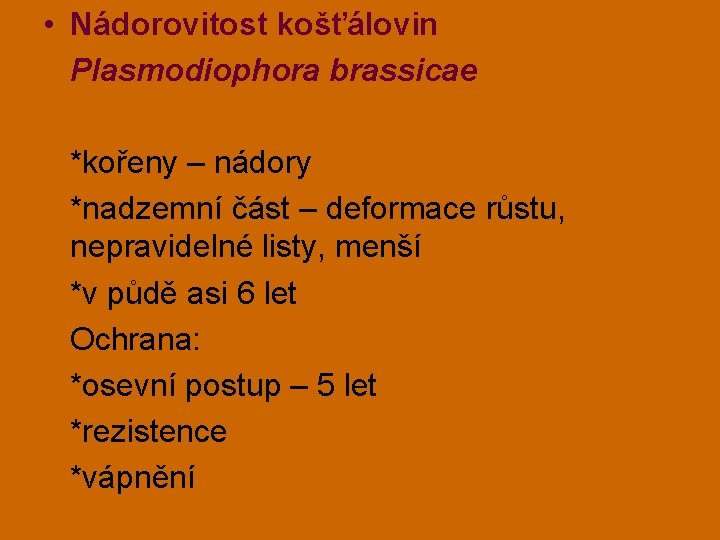  • Nádorovitost košťálovin Plasmodiophora brassicae *kořeny – nádory *nadzemní část – deformace růstu,