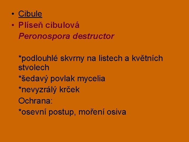  • Cibule • Plíseň cibulová Peronospora destructor *podlouhlé skvrny na listech a květních