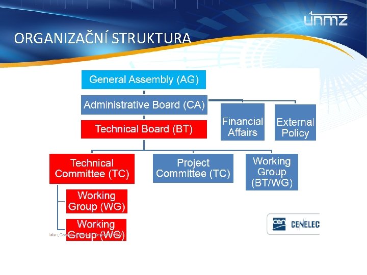 ORGANIZAČNÍ STRUKTURA 