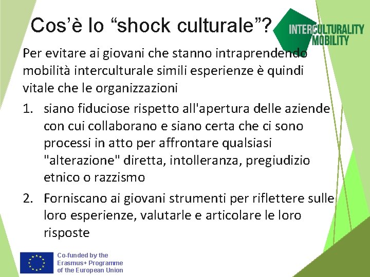 Cos’è lo “shock culturale”? Per evitare ai giovani che stanno intraprendendo mobilità interculturale simili
