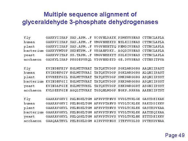 Multiple sequence alignment of glyceraldehyde 3 -phosphate dehydrogenases fly human plant bacterium yeast archaeon