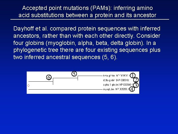 Accepted point mutations (PAMs): inferring amino acid substitutions between a protein and its ancestor