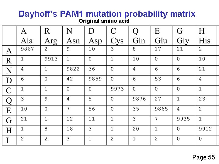 Dayhoff’s PAM 1 mutation probability matrix Original amino acid Page 55 