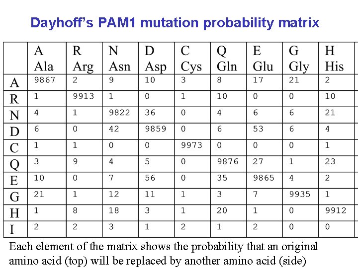 Dayhoff’s PAM 1 mutation probability matrix Each element of the matrix shows the probability