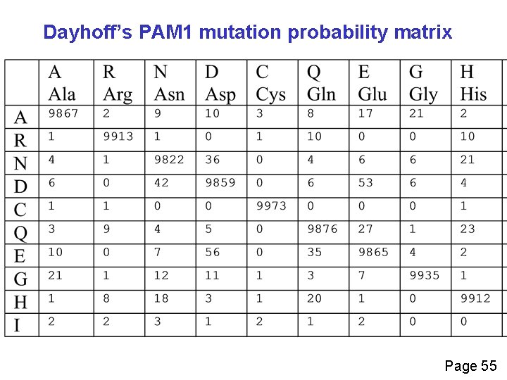 Dayhoff’s PAM 1 mutation probability matrix Page 55 
