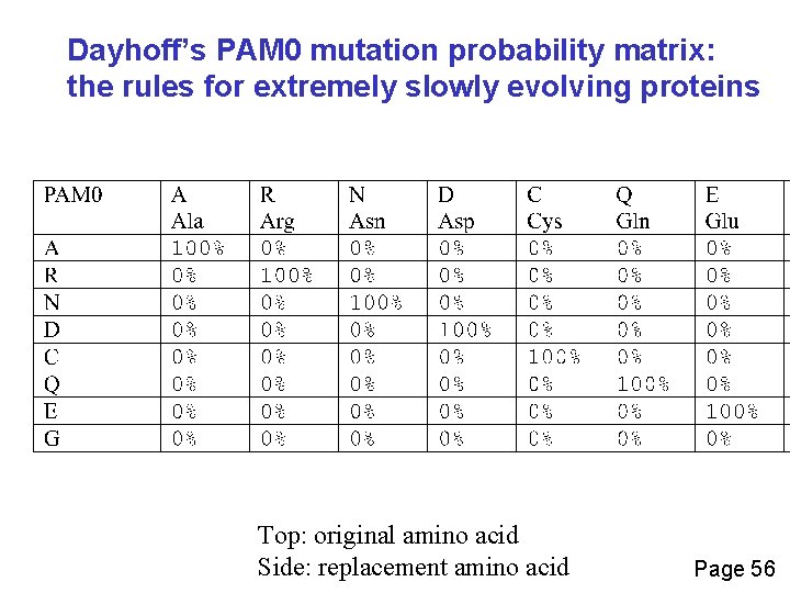 Dayhoff’s PAM 0 mutation probability matrix: the rules for extremely slowly evolving proteins Top: