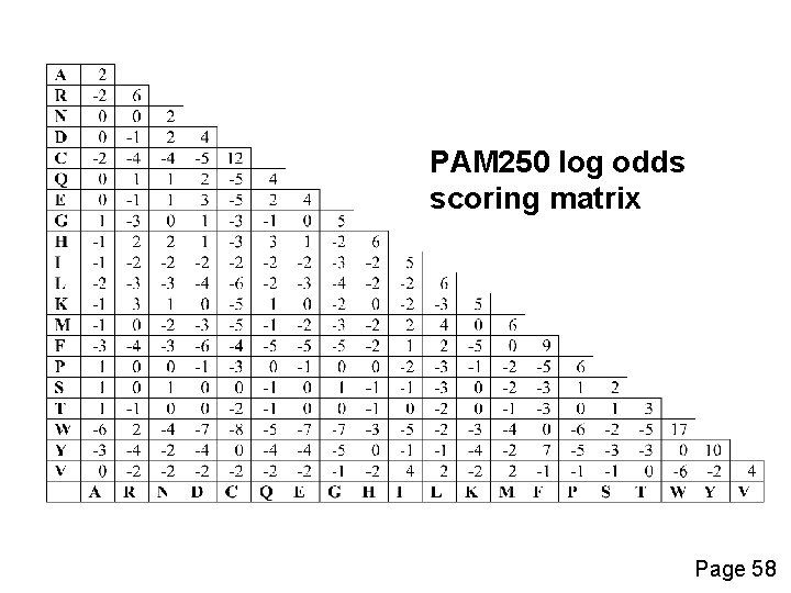 PAM 250 log odds scoring matrix Page 58 