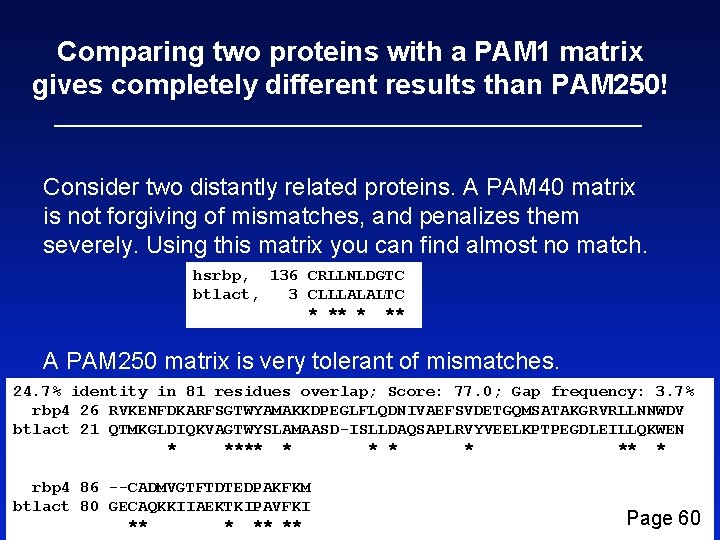 Comparing two proteins with a PAM 1 matrix gives completely different results than PAM