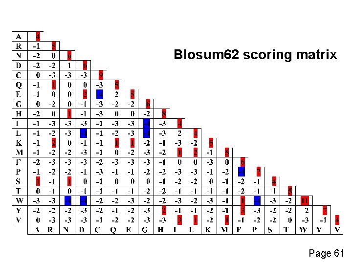 Blosum 62 scoring matrix Page 61 