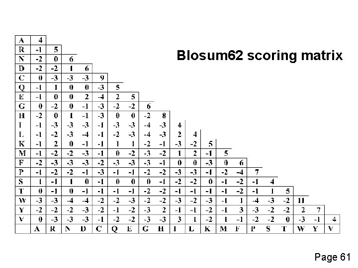 Blosum 62 scoring matrix Page 61 