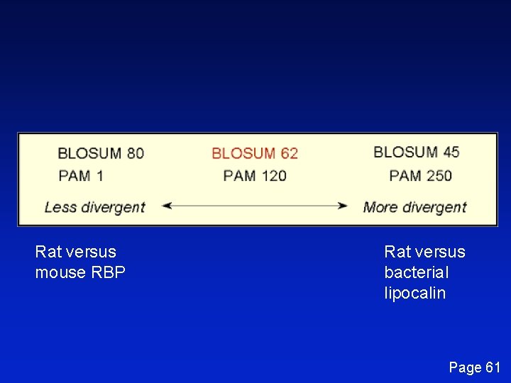 Rat versus mouse RBP Rat versus bacterial lipocalin Page 61 