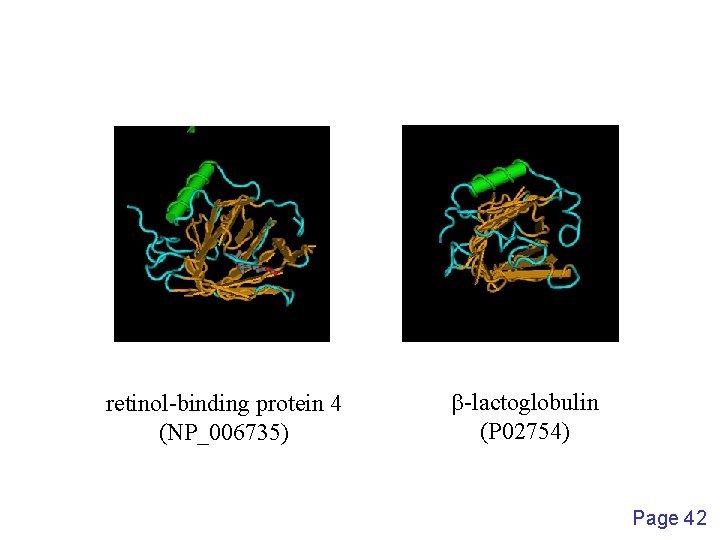 retinol-binding protein 4 (NP_006735) b-lactoglobulin (P 02754) Page 42 